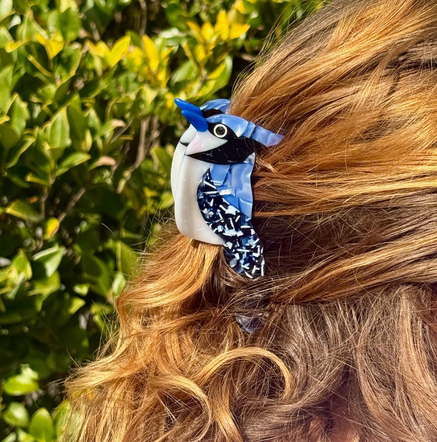 Blue Jay Hair Claw Clip