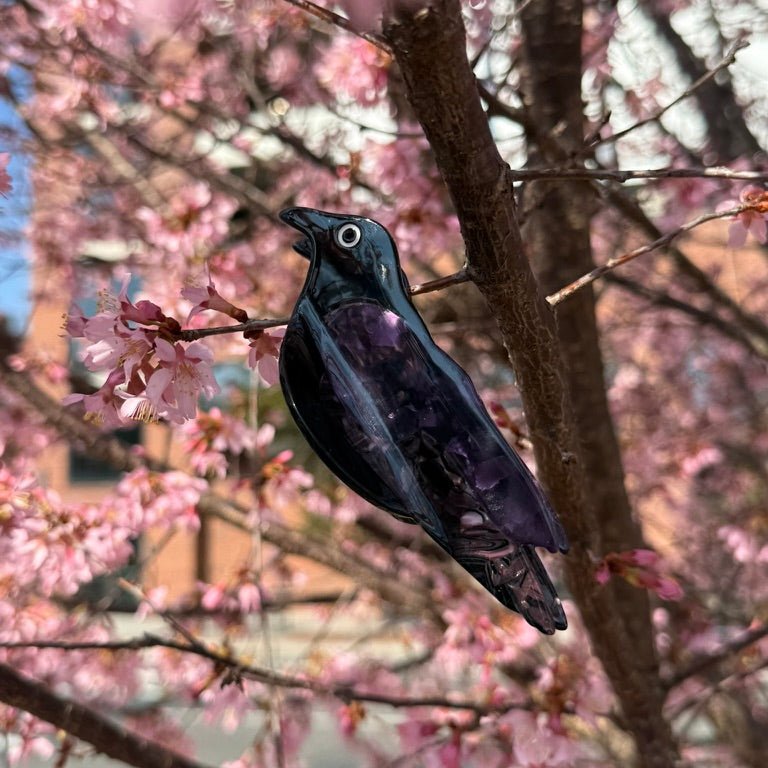 Raven Bird Hair Claw Clip