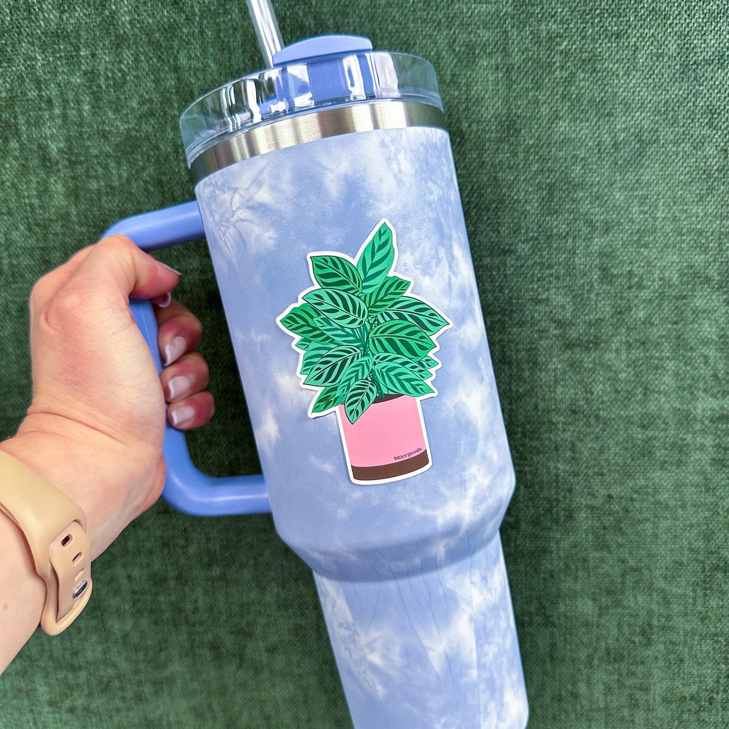 Calathea peacock sticker on Stanley water bottle