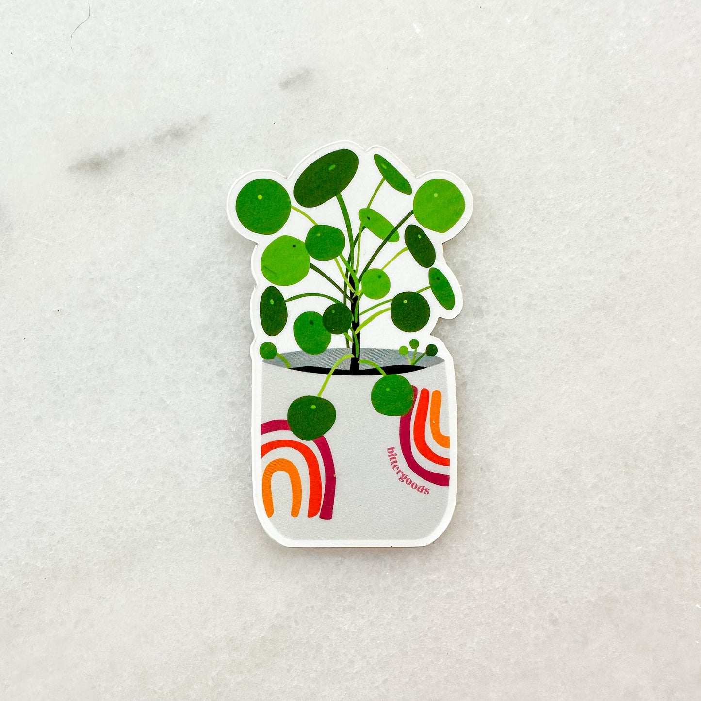 Chinese Money (pilea peperomioides) plant sticker