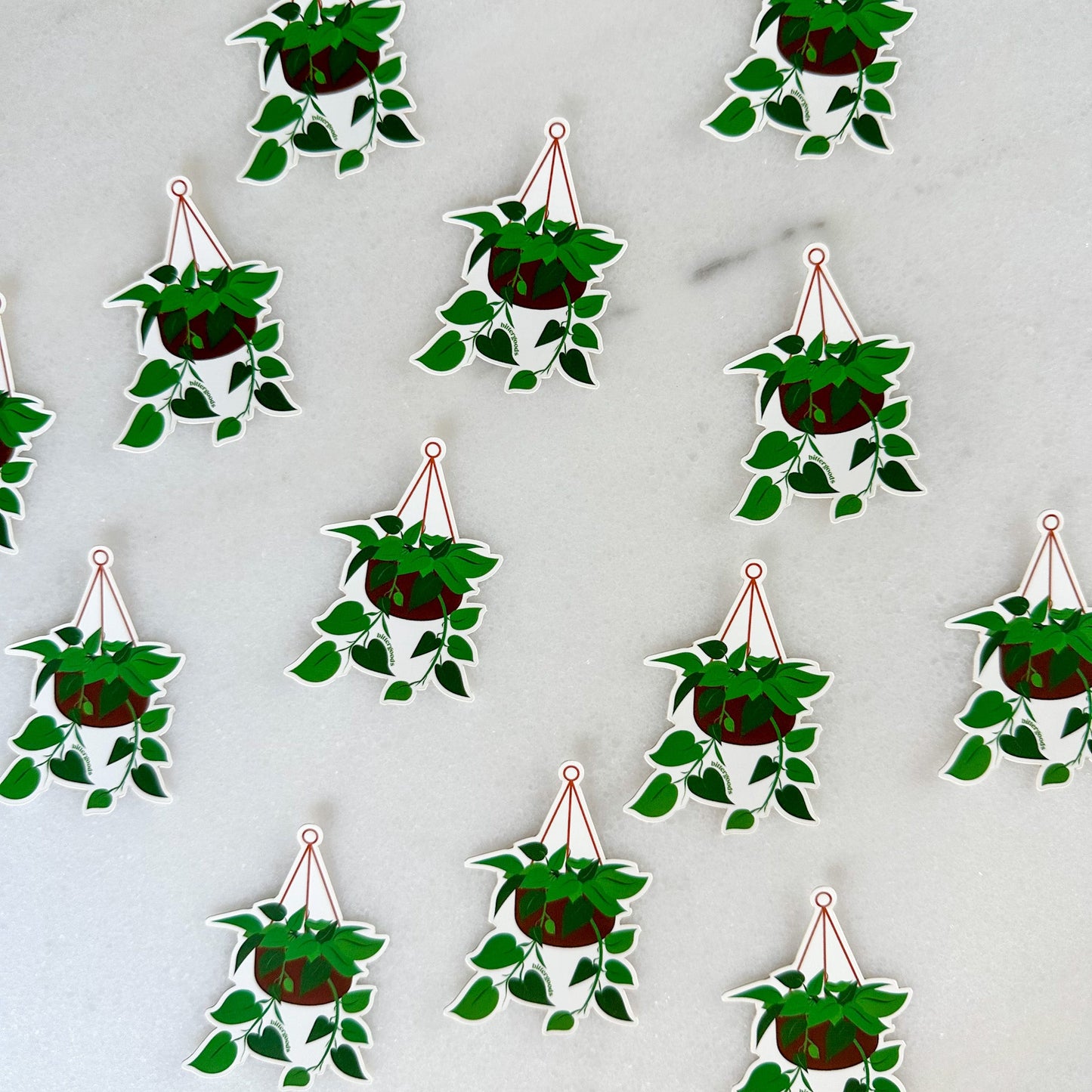 Pothos Sticker