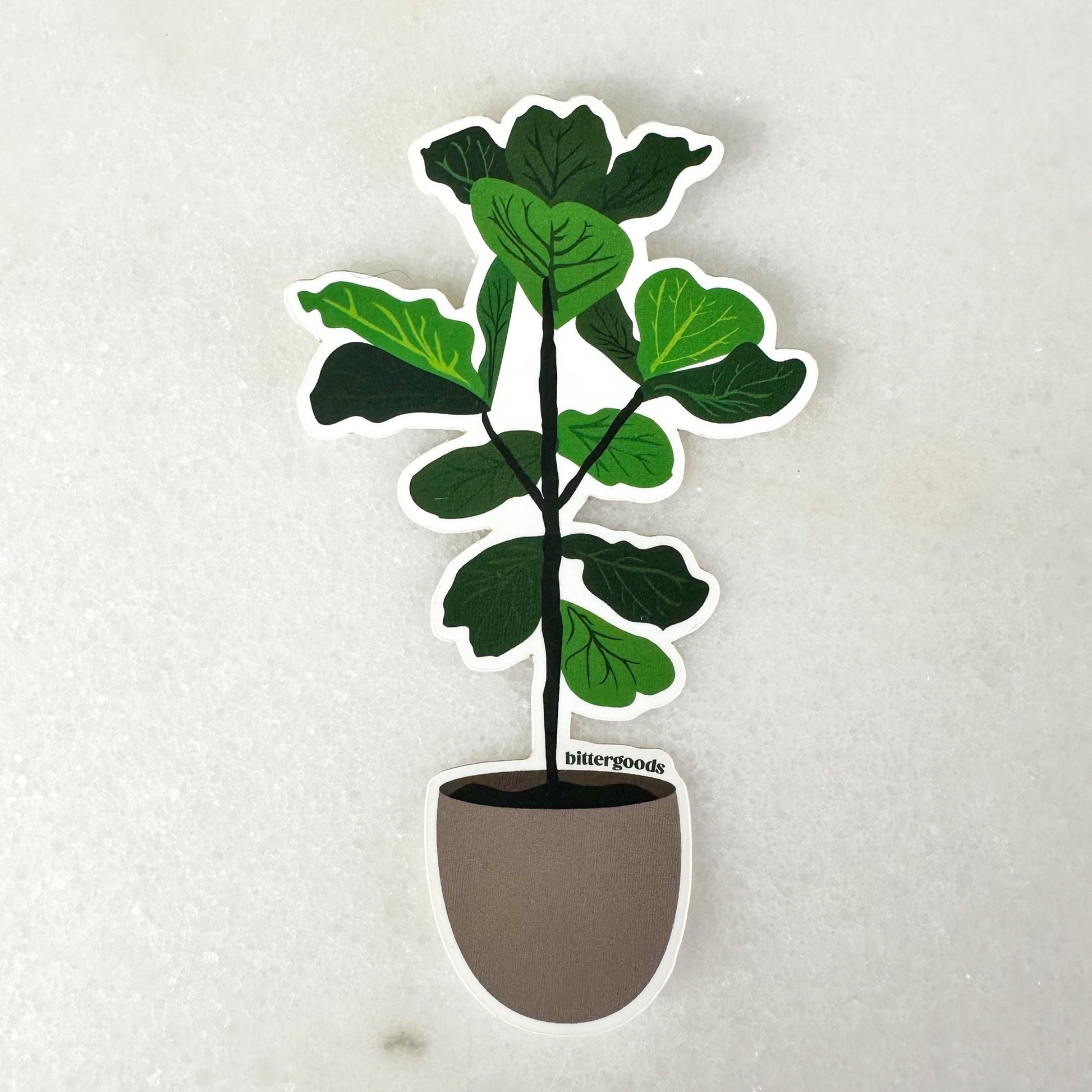 Sticker featuring a fiddle leaf fig plant