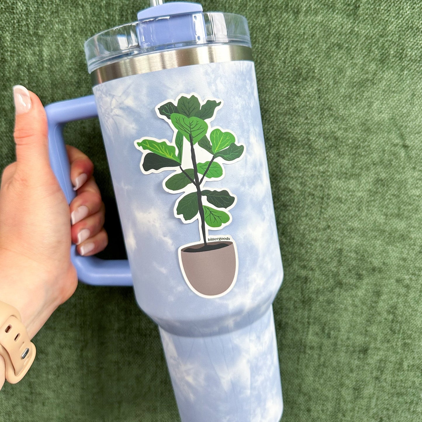 Fiddle leaf fig plant sticker on a Stanley water bottle held by a manicured hand on green background