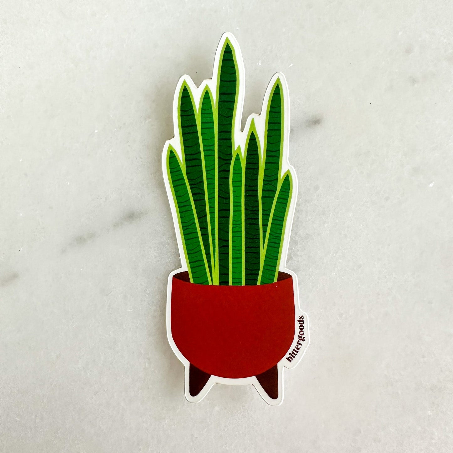 Striped snake plant in red pot sticker